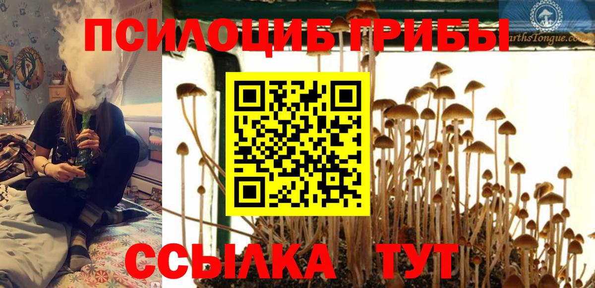 Советский  Галлюциногенные грибы ЛСД  Вход с VPN 